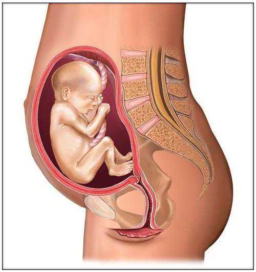 苏州借卵试管生男孩-苏州找人代怀孩子,到苏州做试管婴儿的费用有哪些！补贴