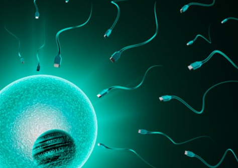 有医院可以做供卵试管吗（能供卵子做试管的医院）