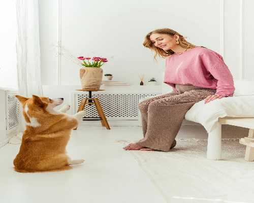 助孕包成功价格_助孕包性别中介,试管移植几天后能测出怀孕?输卵管堵塞做试