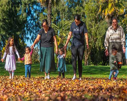 三代试管婴儿卵泡数量怎么算